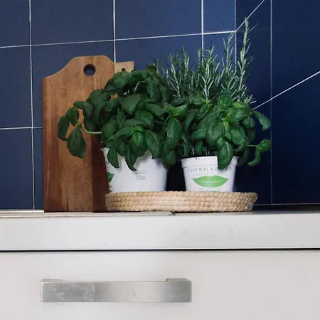 Porto Rotondo Sul Mare Apartment Olbia