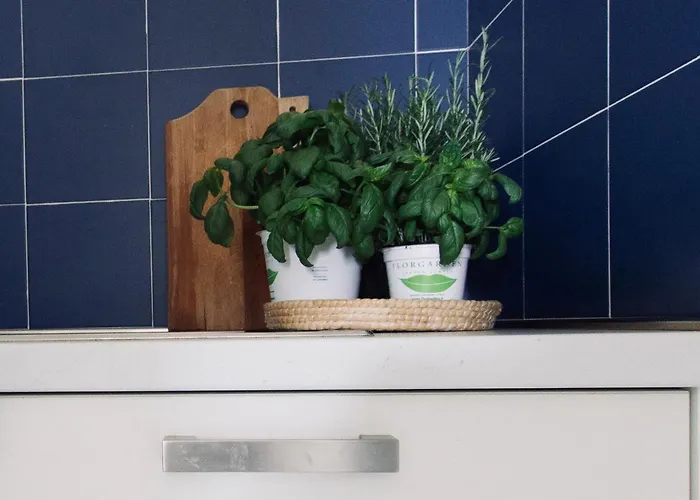 Porto Rotondo Sul Mare Lägenhet Olbia